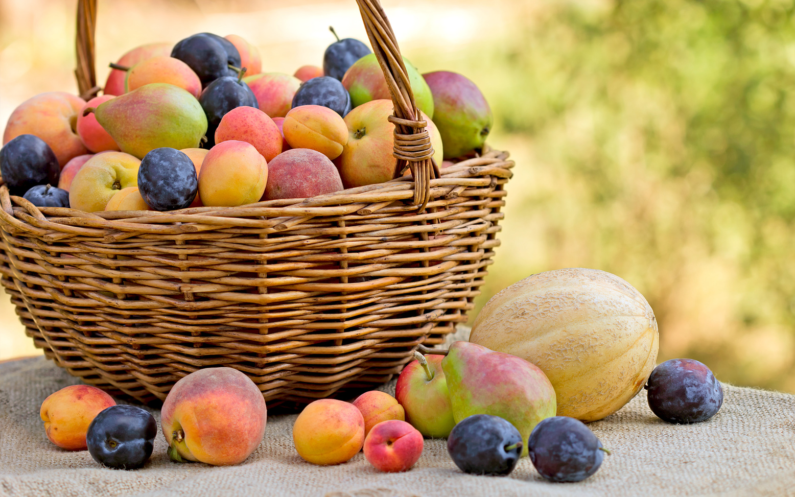 Fresh organic fruits (seasonal fruit)