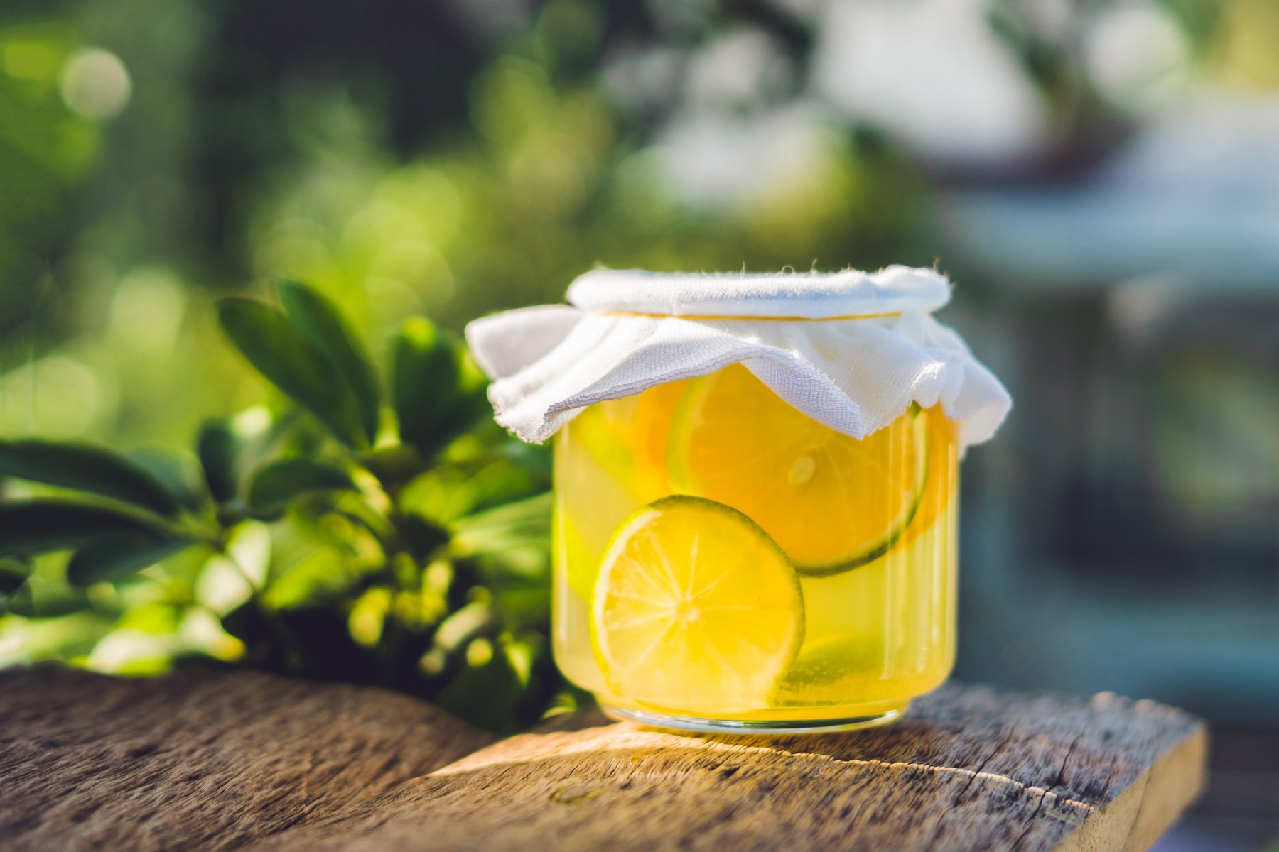 Homemade Fermented Raw Kombucha Tea Ready to Drink With orange and lime. Summer