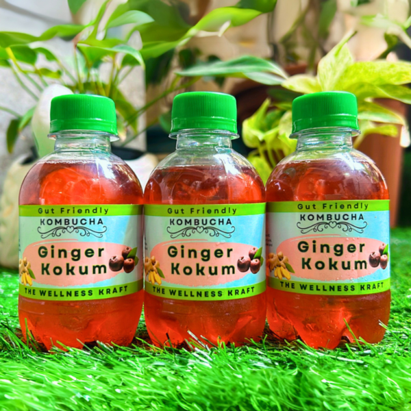 A bottle of The Wellness Kraft Ginger & Kokum Kombucha, a naturally fermented probiotic drink with the tangy flavor of kokum and the spice of ginger.