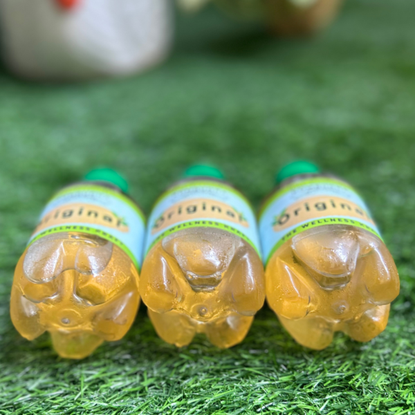 Original Blend Kombucha (3x200ml bottles)
