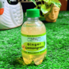 A bottle of The Wellness Kraft Ginger Lemongrass Kombucha, a naturally fermented probiotic drink available in India, with a bold ginger kick and soothing lemongrass notes.